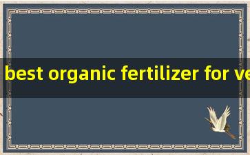 best organic fertilizer for vegetables and fruit lowes suppliers
